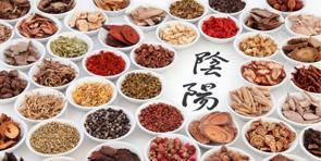 Description de la discipline dietetique chinoise