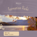 Formation reiki - carine roche - énergéticienne, ecothérapeute - ô cœur de l'éveil