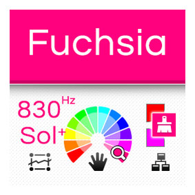 Fuchias