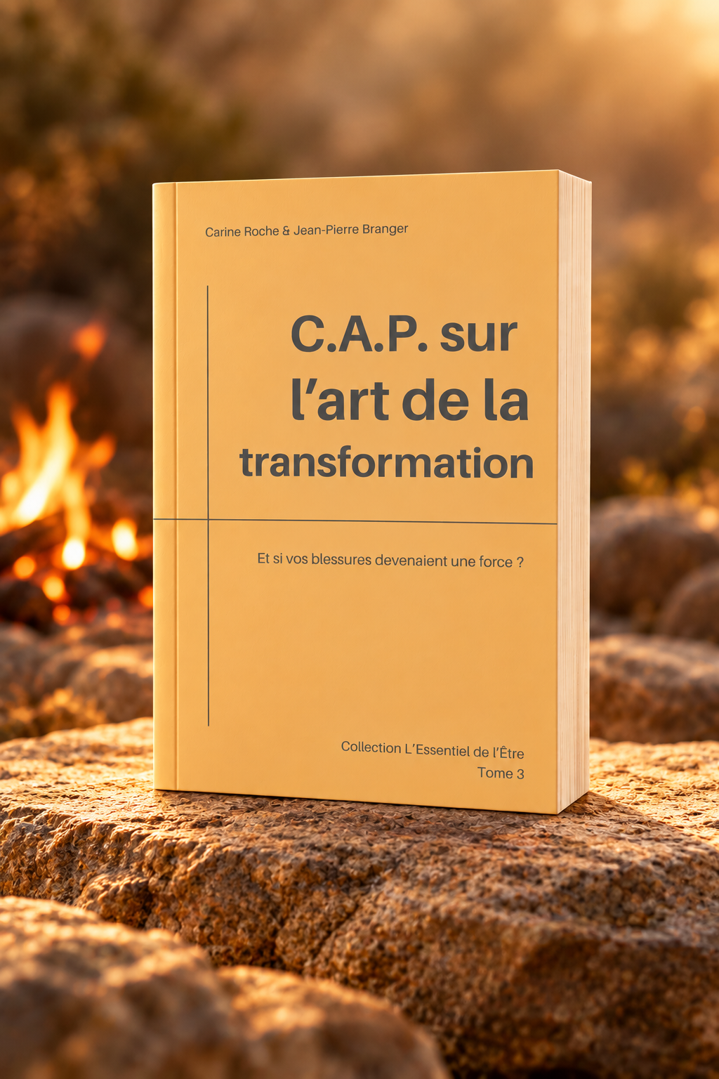 Tome 3 CAP sur l'art de la transformation