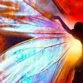 Transformation o coeur de l eveil